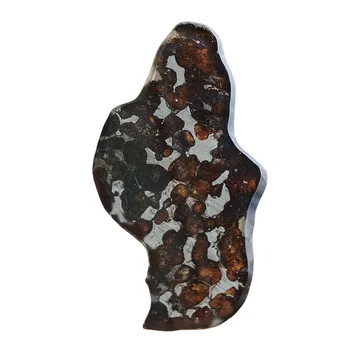 21.7 gSERICHO Pallasite טבעי המטאוריט חומר פרוס זית המטאוריט פרוסות דגימה - מקניה - CA12